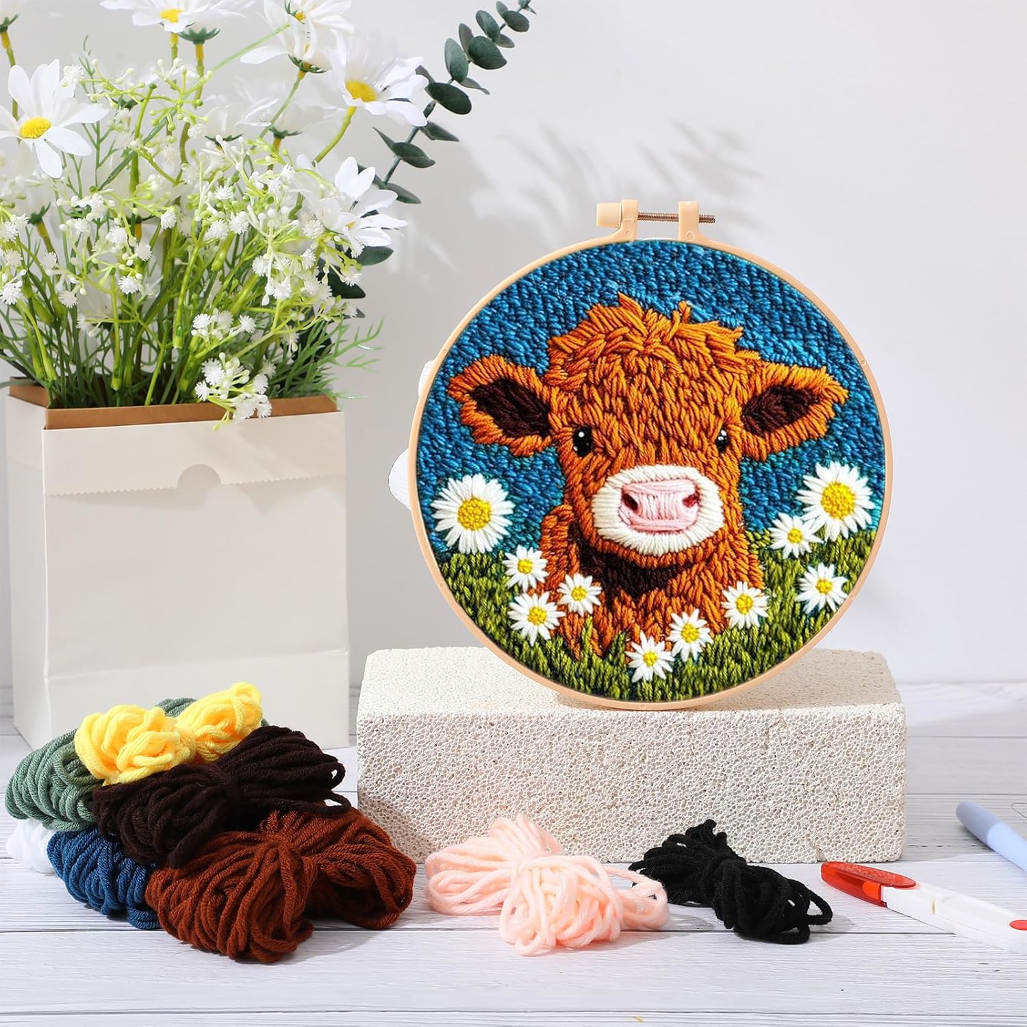 DIY Punch Needle Kits for Begi - Embroidery Hoop Square 评论和价格