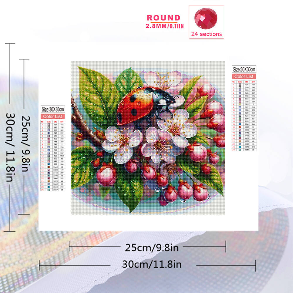 Momoart Diamond Embroidery Lad - Embroidery Lady Bug 评论和价格