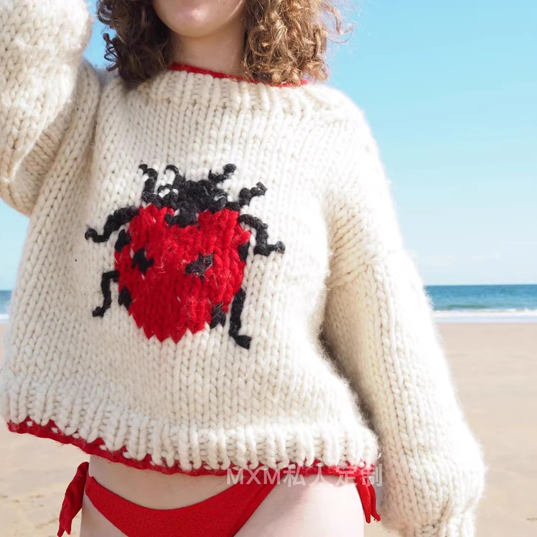 Seven Star Ladybug Pattern Pur - Embroidery Lady Bug 评论和价格